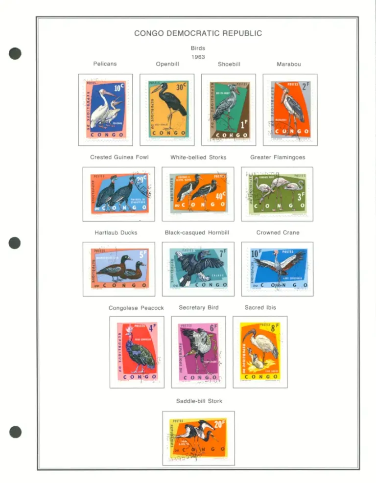Steiner Stamp Album Pages - 1963 Congo Democratic Republic Birds Stamp Set